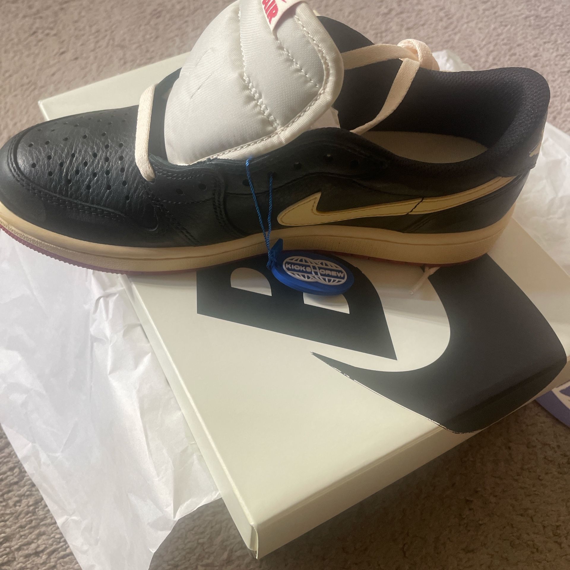Size 7 Jordan 1 Nigel Sylvester Nitro