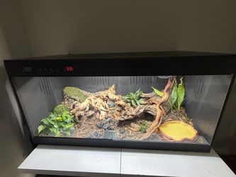 Snake enclosure