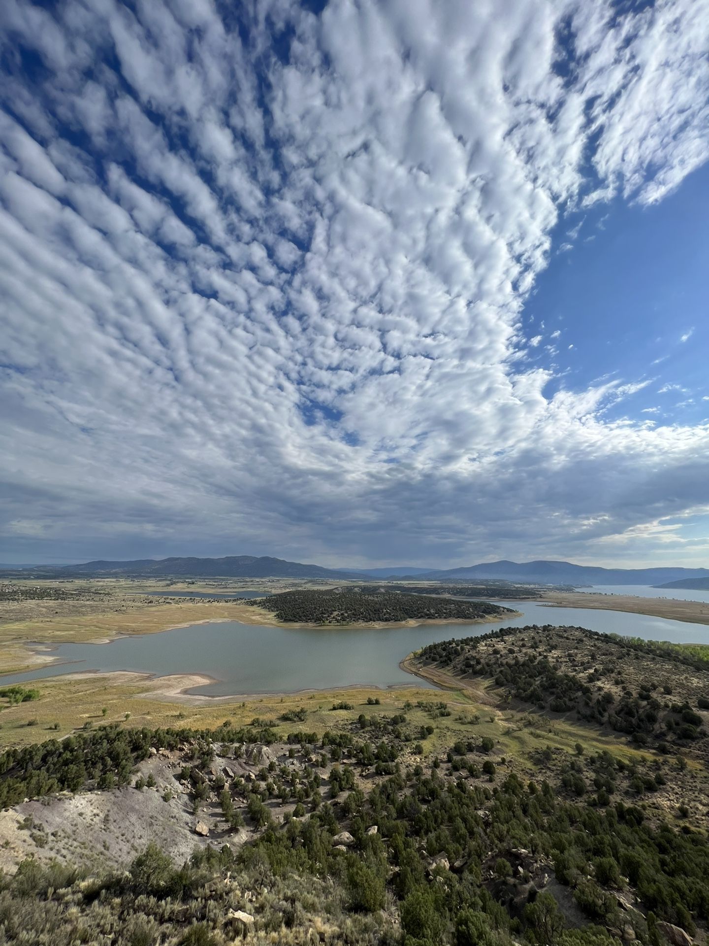 Land For Sale 5 Acres