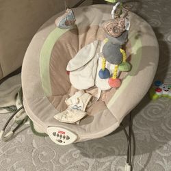 Fisher Price Deluxe Bouncer