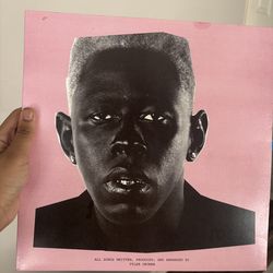 Tyler the creator- igor