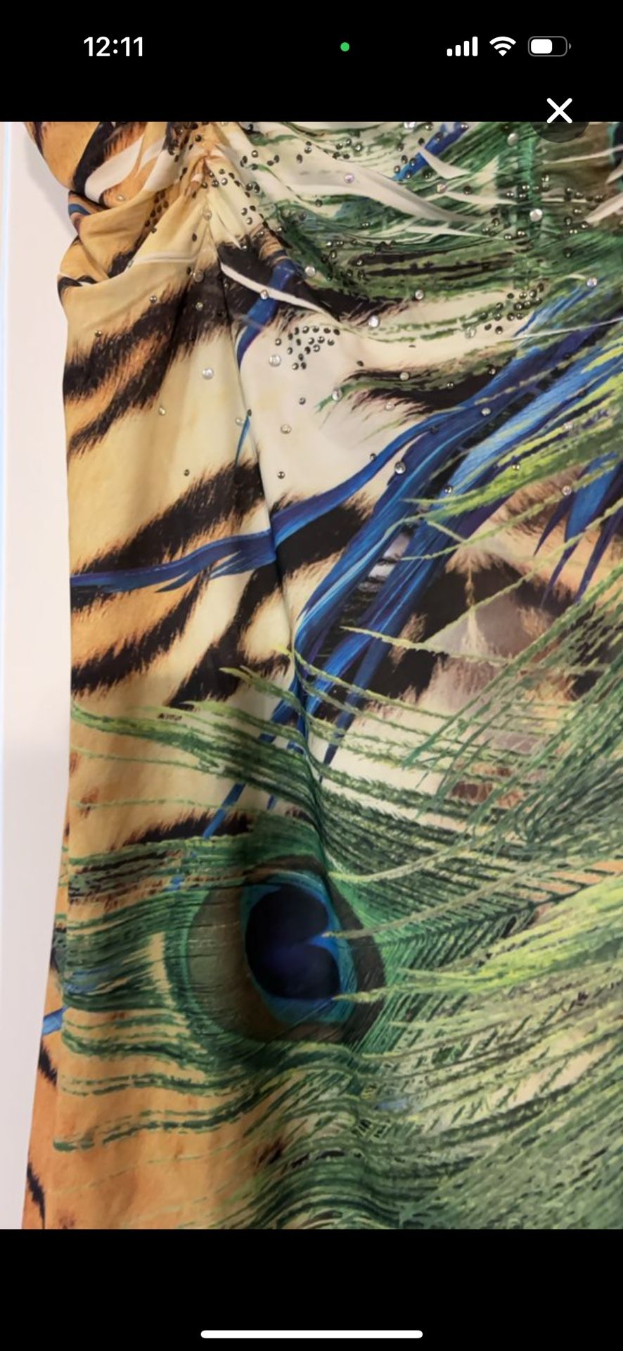 Reina Peacock Feather Print Dress with Embellishments