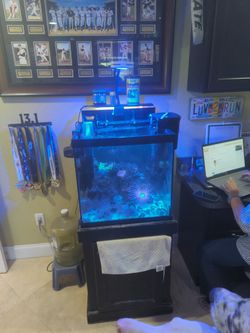 29 Gallon Nano Tank with stand (Tank Will Be Empty)