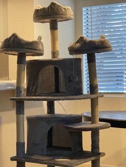 New Cat Scratcher