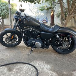2021 Harley Davidson Iron 883