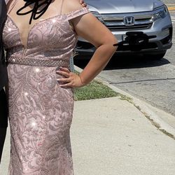 Rose Gold Dress Size Large 