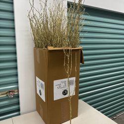 Gold Glitter Curly Willow Branches 