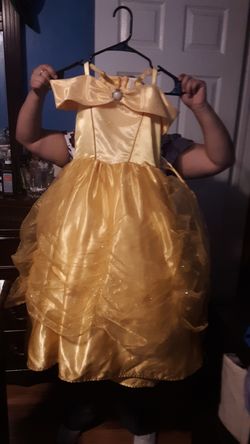 Bella Cinderella costume