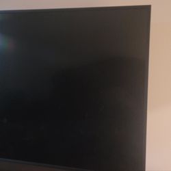 Vizio 60" flat screen TV
