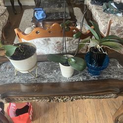 Coffee Table, End Table, Console Table