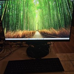 Lenovo M710q 24-inch AIO All-in-ONE Intel I5-7500 256 GB SSD Wifi Bluetooth 