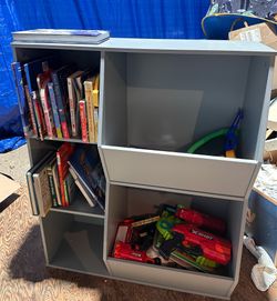 Toy/Book storage