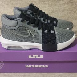 Lebron Witness VIII Size 10