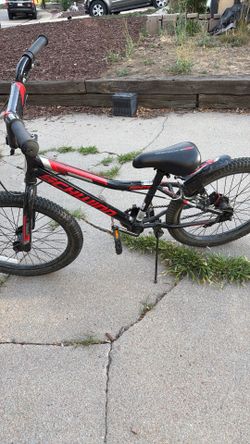 20” Schwinn Fenite