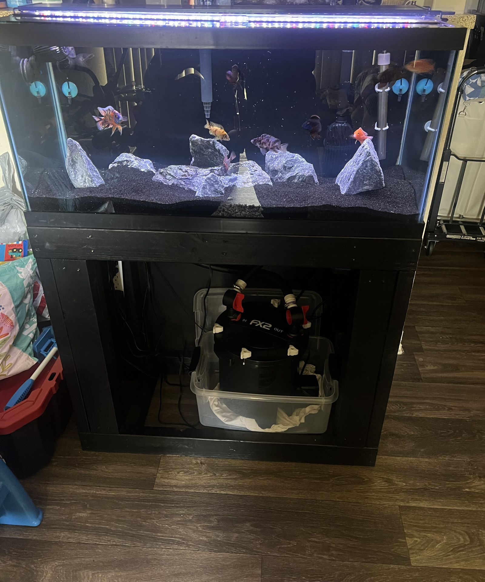 40 gallon/ W Stand  AquaClear 110 / Glass top
