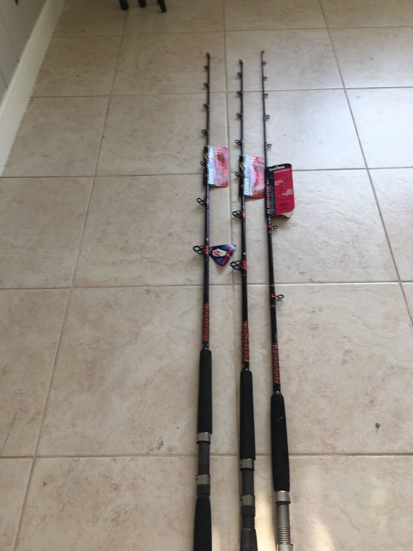 Daiwa Eliminator Boat rods