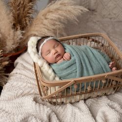 Newborn Photography Props