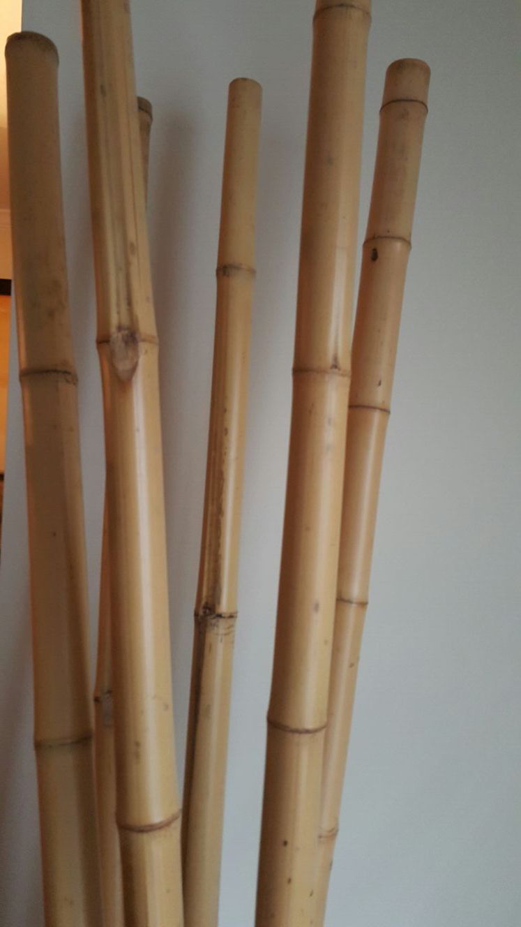 Hobby Lobby Bamboo sticks