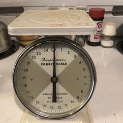 Vintage American Family scale