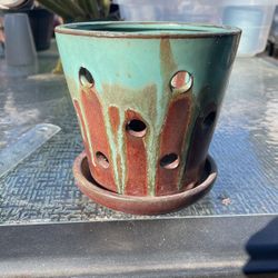 Orquid Planter