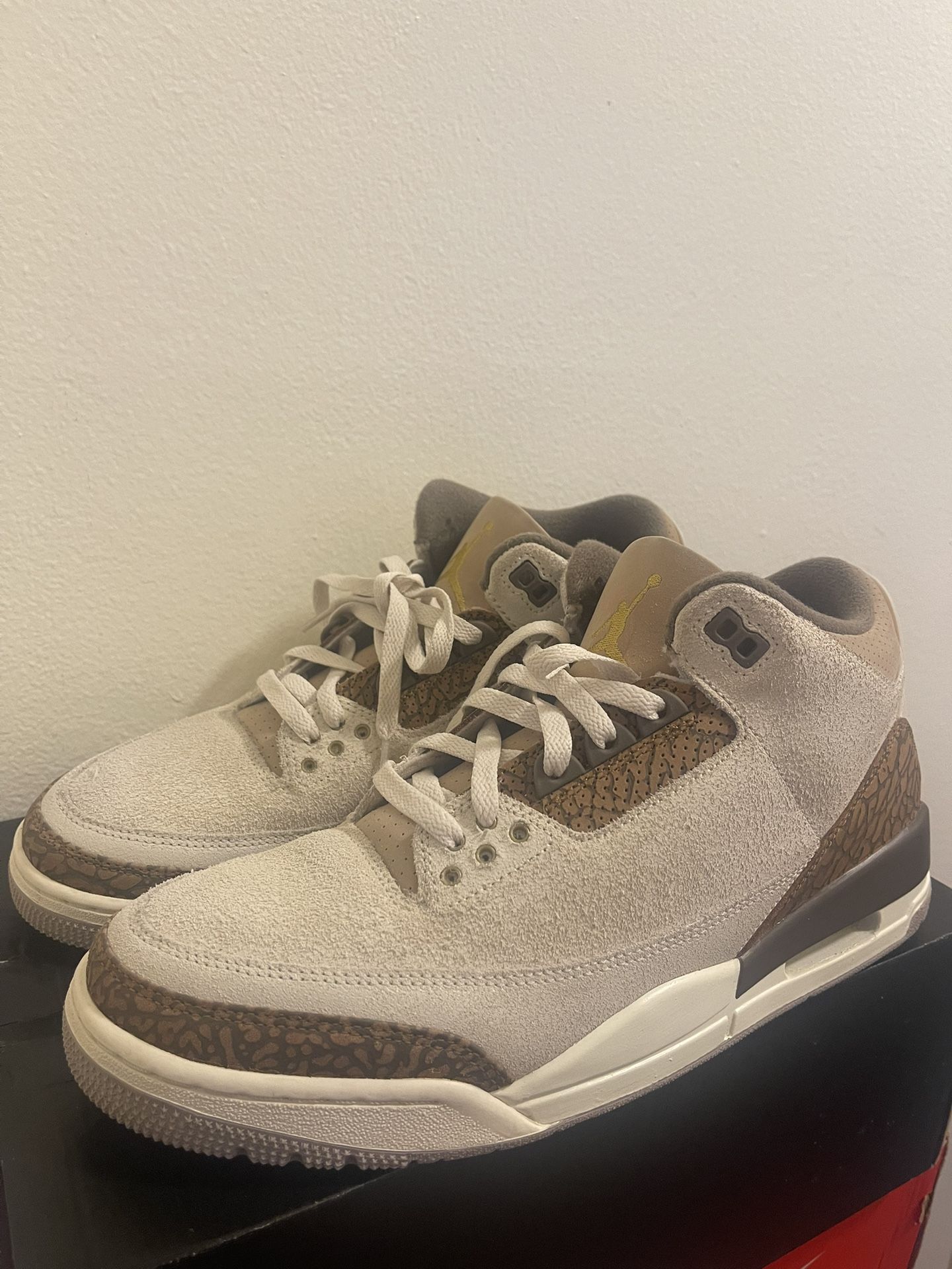 Jordan 3 Size 11