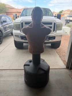 Bob punching bag