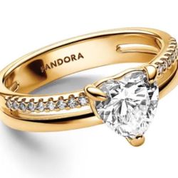Double Band Heart pandora Ring
