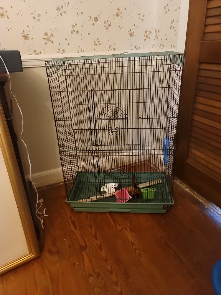 This Is For The Birds