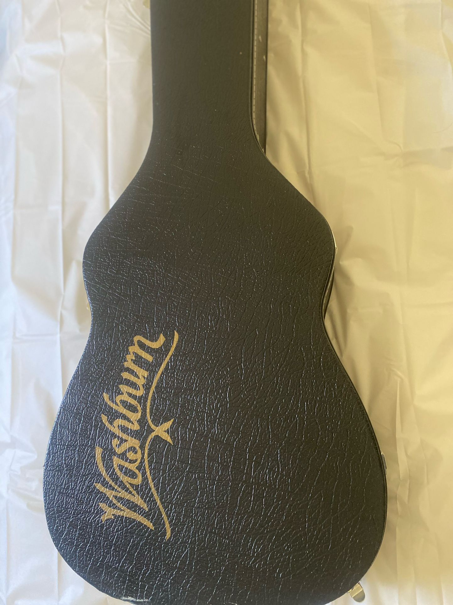 Washburn Guitar HardCase