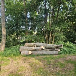 Firewood