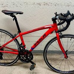 Fuji Ace 650 Road Bike For Smaller Riders 