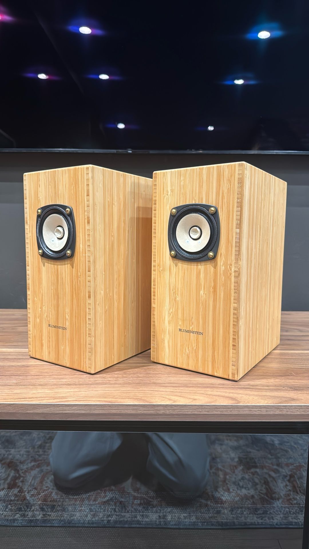 Blumenstein Orca 3" full-range speakers