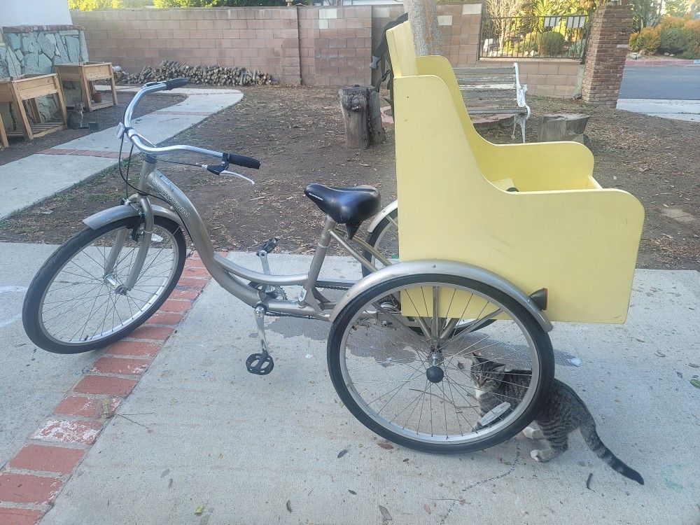 Schwinn Adult Tricycle With Child Seat