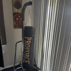 Boxing Bag With Stand 