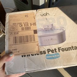 Pet Fountain 
