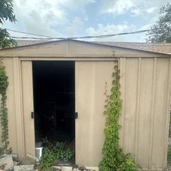 Shed 