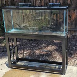 55 Gallon Tank 