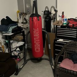 Punch/kick Bag + Stand