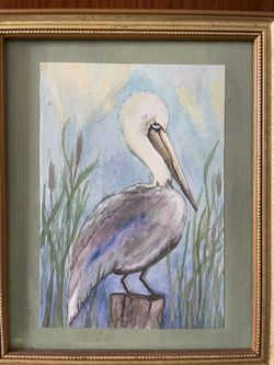 Hand painted Pelican Watercolor