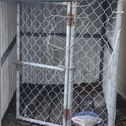 Big Dog Kennel 