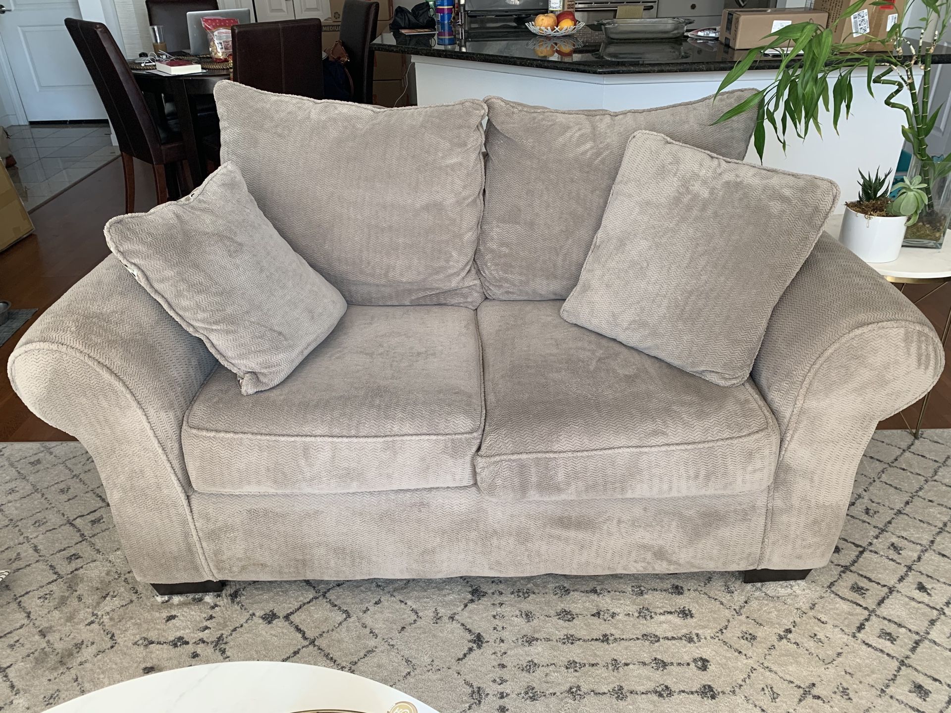Gray/Beige Love Seat & Sofa Set