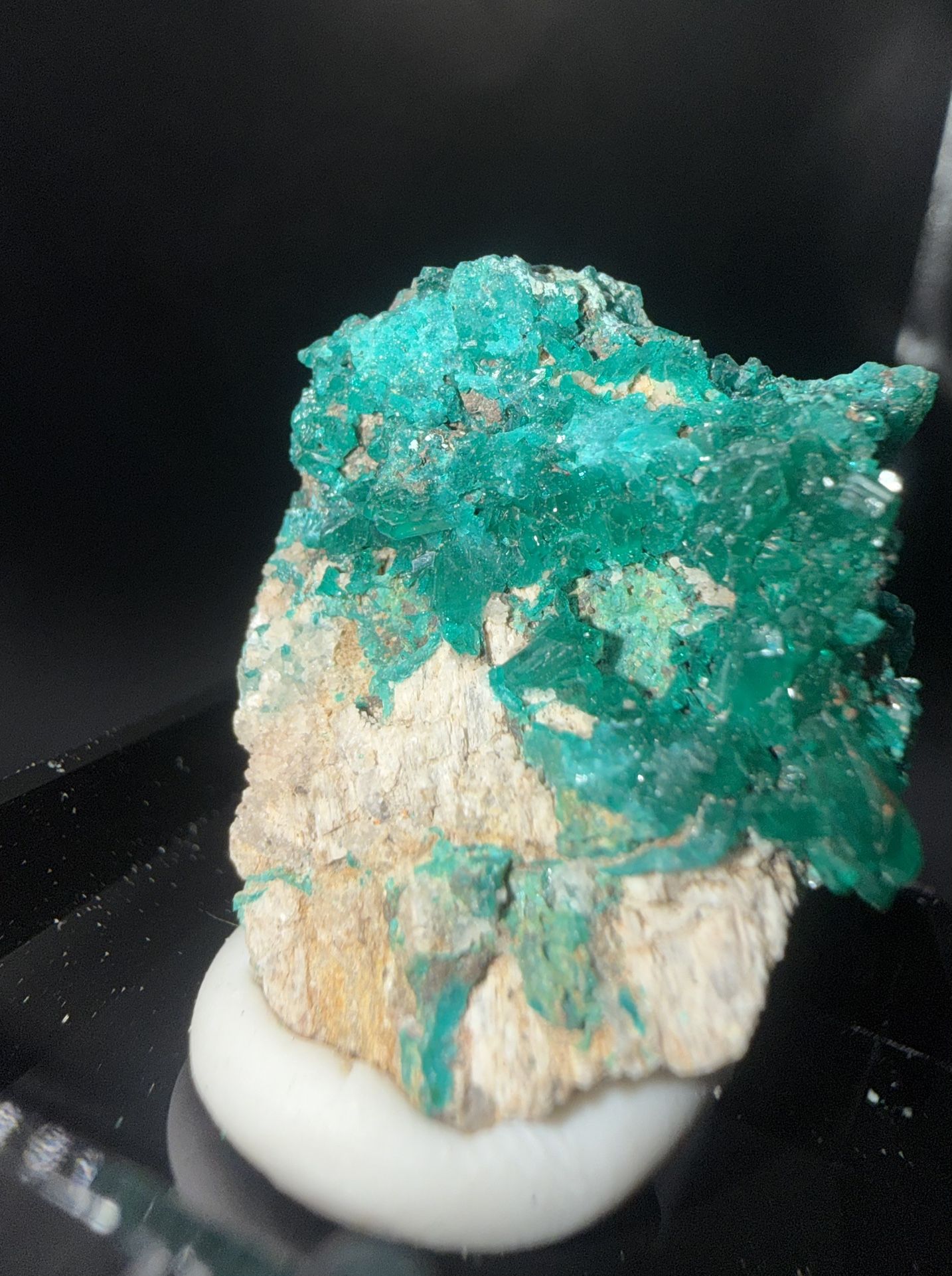 Dioptase Cluster on Matrix in Perky Box