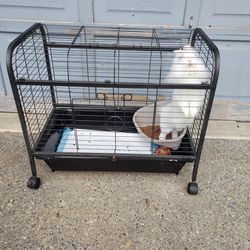 Rabbit Cage On The Wheels 