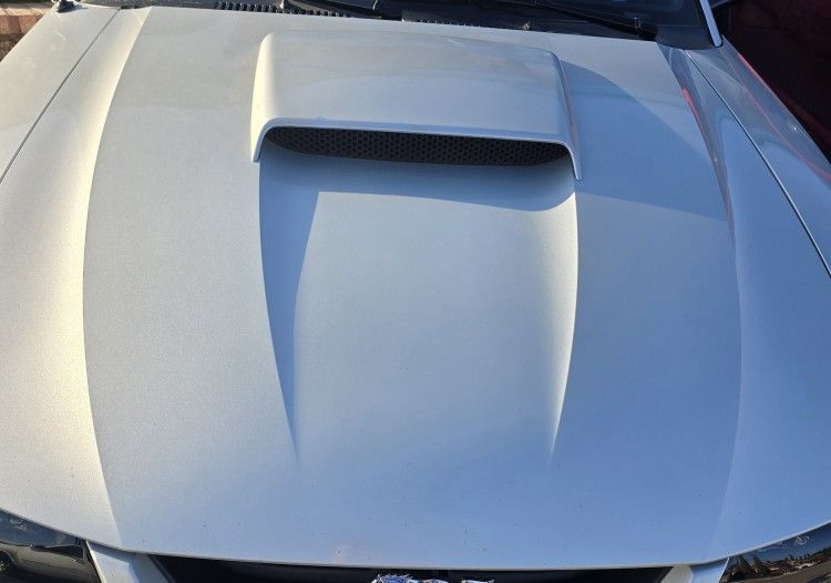 03 Mustang Gt Hood