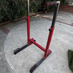 Steel Frame Dip Station