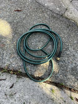 25 Foot Hose