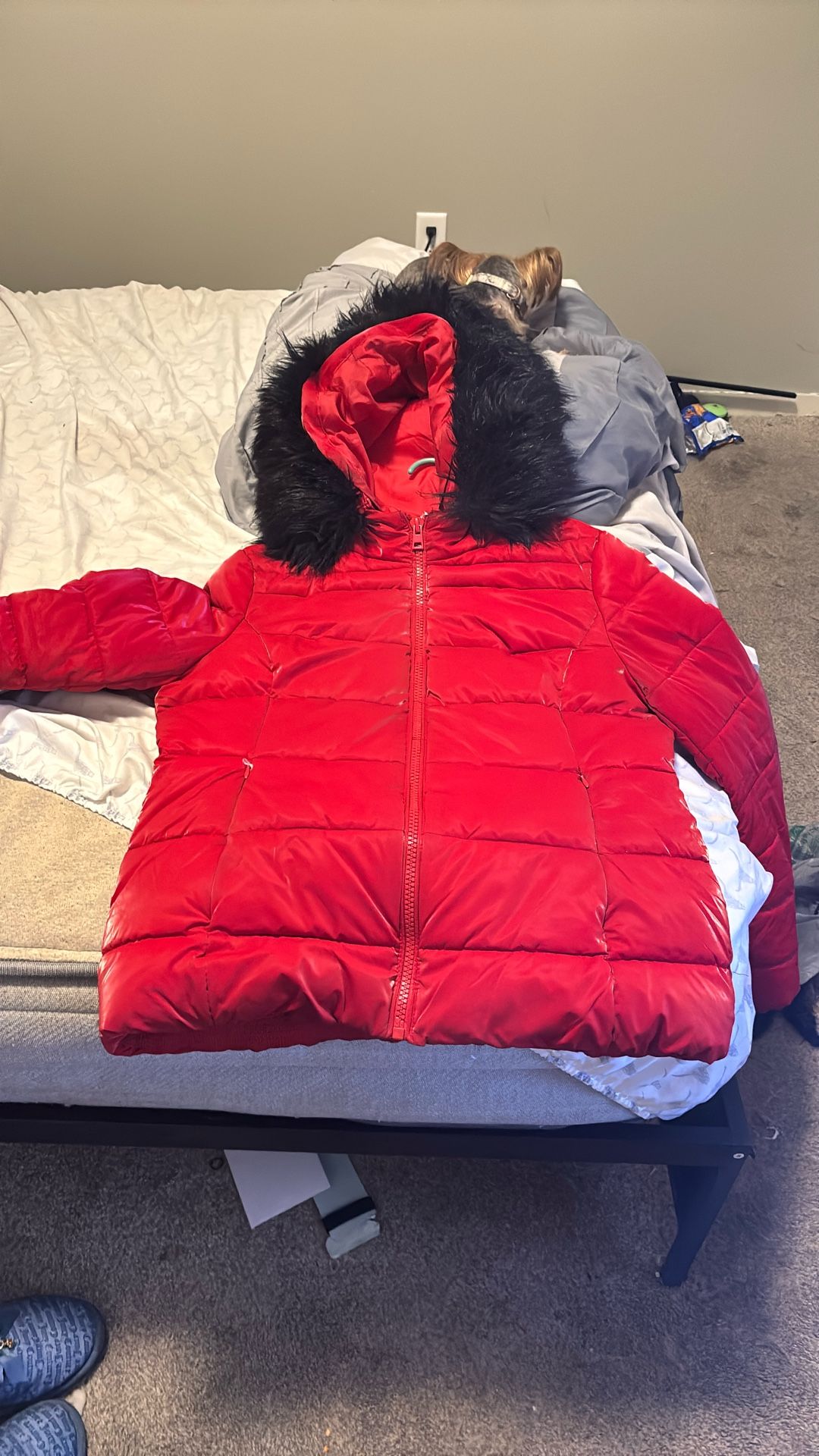 Red Coat