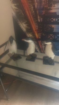 Set of 3 Penguin Figurines