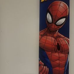 Spider-Man Wall Decor 