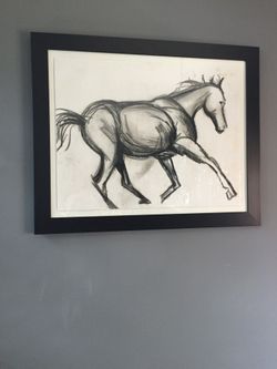 Black & White hand drawn Horse Frame